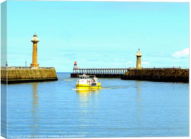 The Twin Piers, Whitby, Yorkshire. Canvas Print by john hill