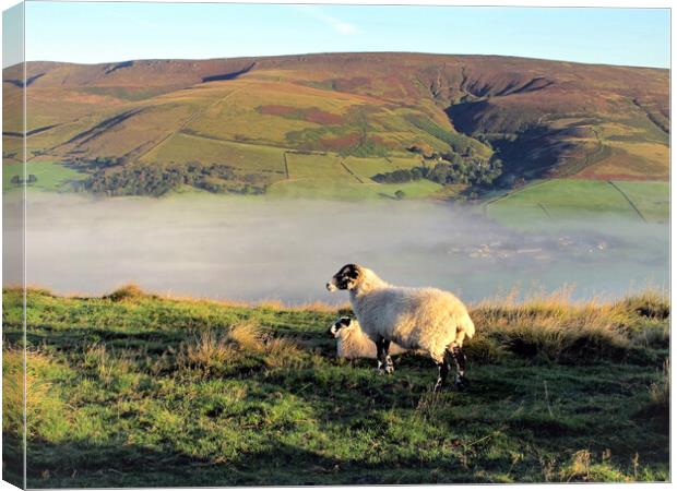 Morning mist at Edale valley. Canvas Print by john hill