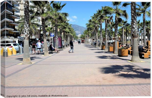 Palm tree colonnade at Fuengirola Spain. Canvas Print by john hill