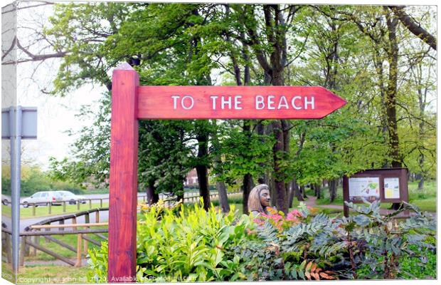 The way to the beach at Filey in Yorkshire. Canvas Print by john hill