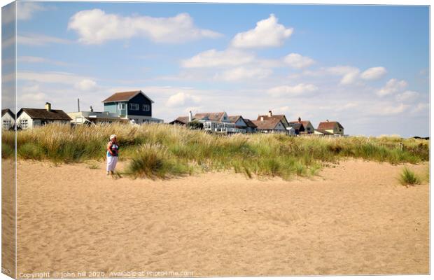 The beach and property at Anderby Creek in Lincolnshire. Canvas Print by john hill
