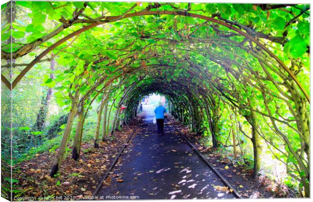 Tree Tunnel at Christchurch in Dorset. Canvas Print by john hill