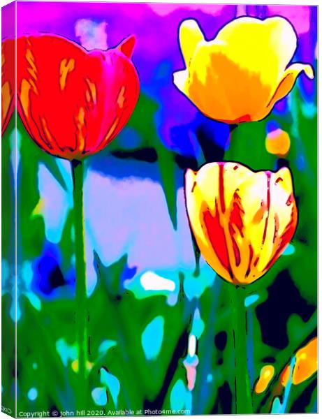 Digital Painting of Tulips Canvas Print by john hill