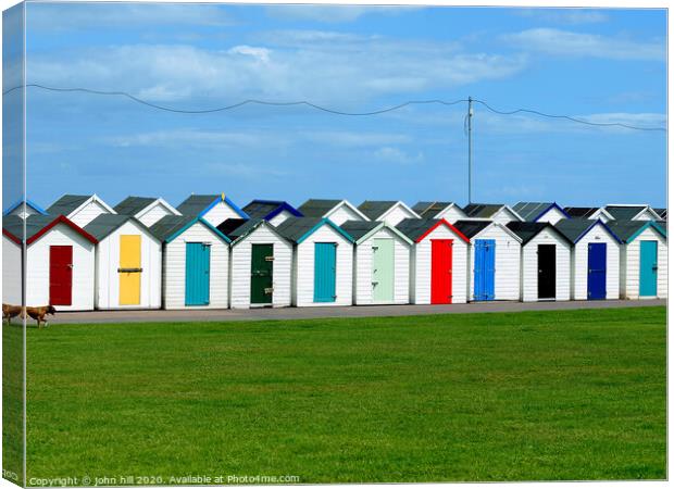 Back to back Beach huts at Paignton in Devon. Canvas Print by john hill
