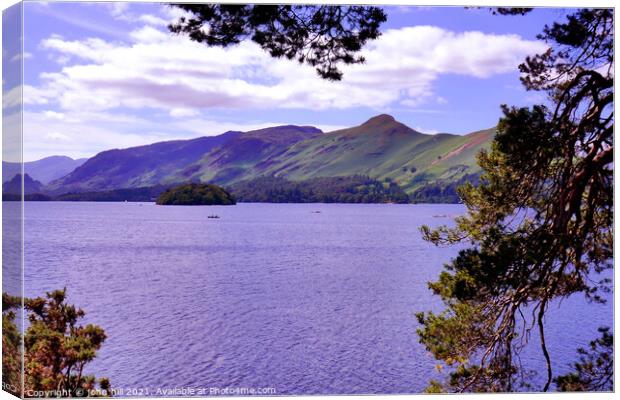 Catbells and Derwentwater in Cumbria, UK. Canvas Print by john hill