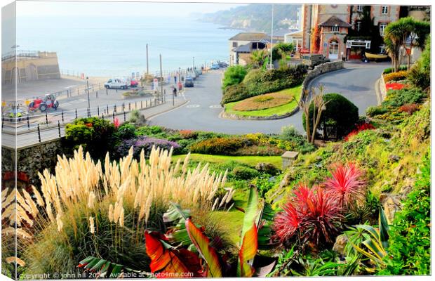 Ventnor Municipal Gardens on the Isle of Wight. Canvas Print by john hill
