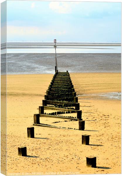 Unique Groyne at Hunstanton Canvas Print by john hill