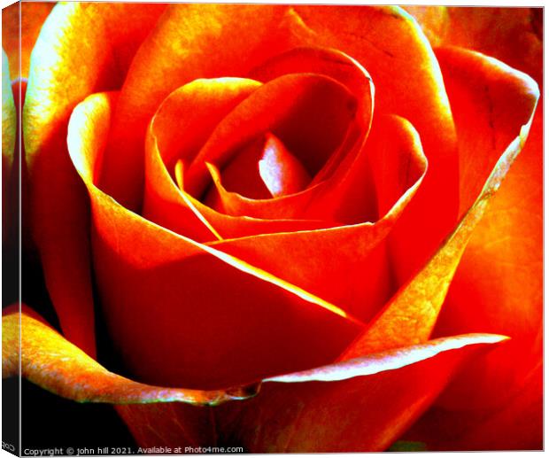  Abstract Pink rose in close-up Canvas Print by john hill