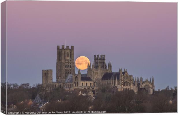 Ely Cathedral & the Wolf Moon Canvas Print by Veronica in the Fens