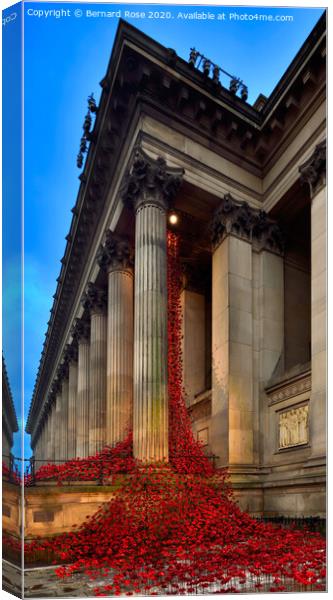 Weeping Window Poppies at St George's Hall 2015 Canvas Print by Bernard Rose Photography
