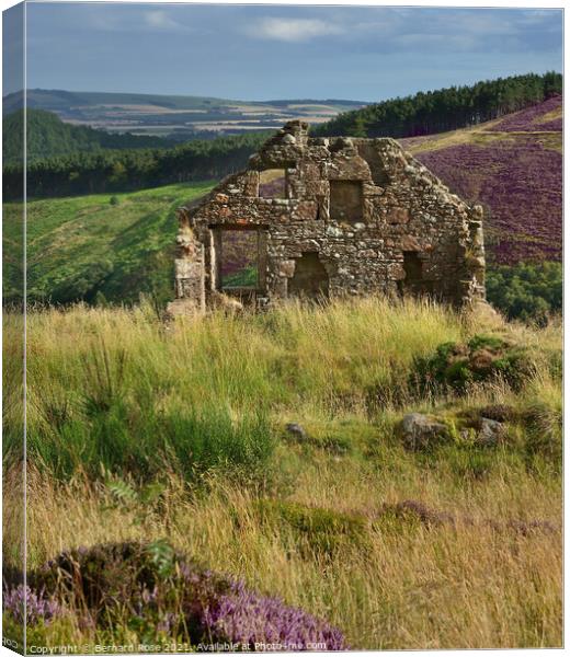 Stone Cottage Ruin on Cairn O'Mount Road  Canvas Print by Bernard Rose Photography