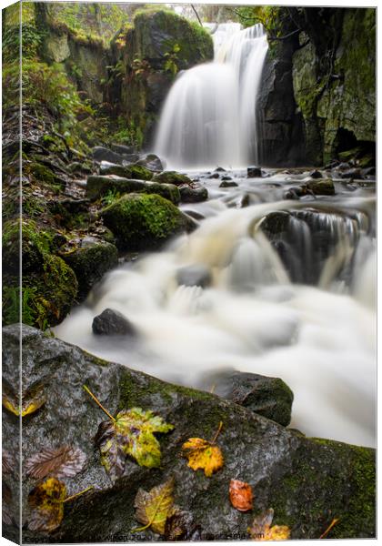 autumn in Lumsdale Canvas Print by louise wilson