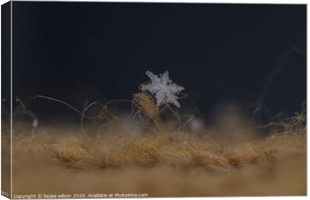 snowflake Canvas Print by louise wilson