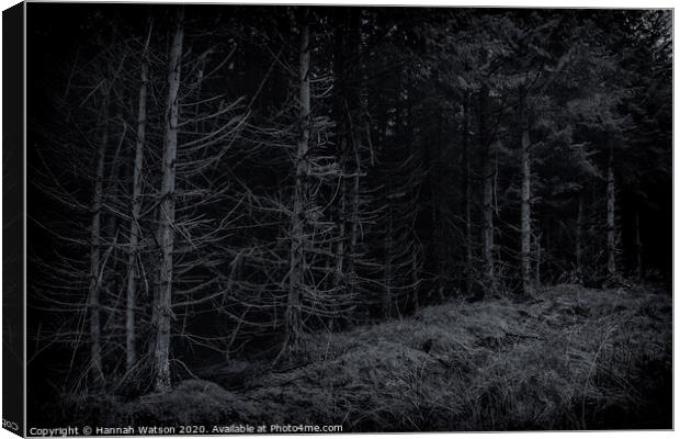 Dark Harwood Forest Canvas Print by Hannah Watson