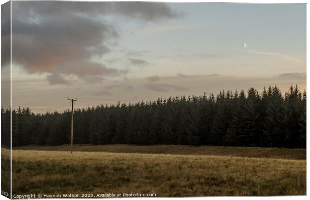 Tree Line and Power Line Canvas Print by Hannah Watson