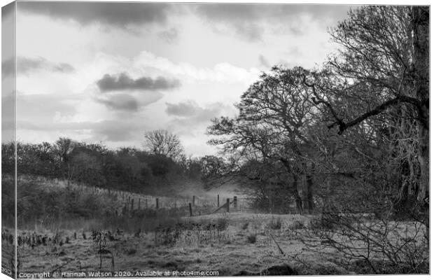 Misty Field - Mono Canvas Print by Hannah Watson