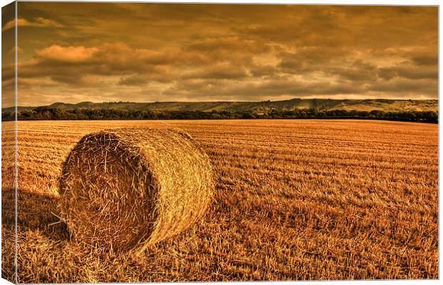 Straw Bale in Sussex Canvas Print by Eddie Howland