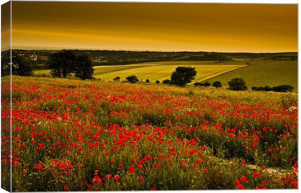 Sunset over poppies in Sussex Canvas Print by Eddie Howland