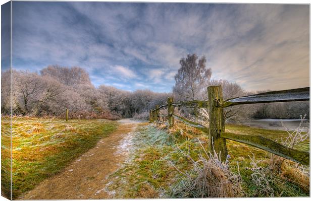 sky fence and frost Canvas Print by Eddie Howland