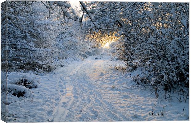 Sunrise at Ditchling Common in the snow Canvas Print by Eddie Howland