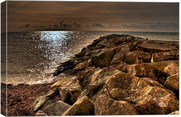 Rocky Coast Canvas Print by Eddie Howland