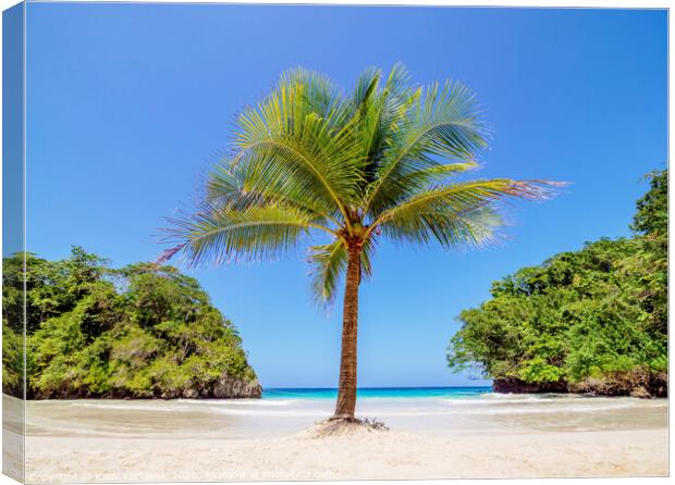 Frenchman's Cove Beach in Jamaica Canvas Print by Karol Kozlowski