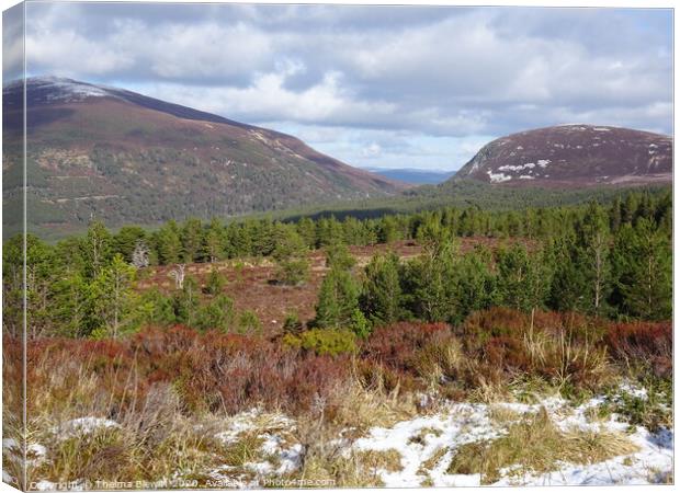 Ryvoan Pass Cairngorms Canvas Print by Thelma Blewitt