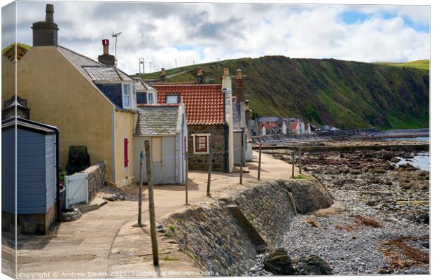 Aberdeenshire village of Crovie Canvas Print by Andrew Davies