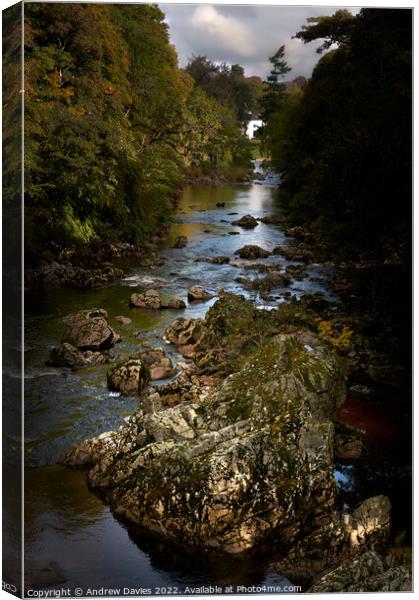 Water of Feugh at Banchory Canvas Print by Andrew Davies
