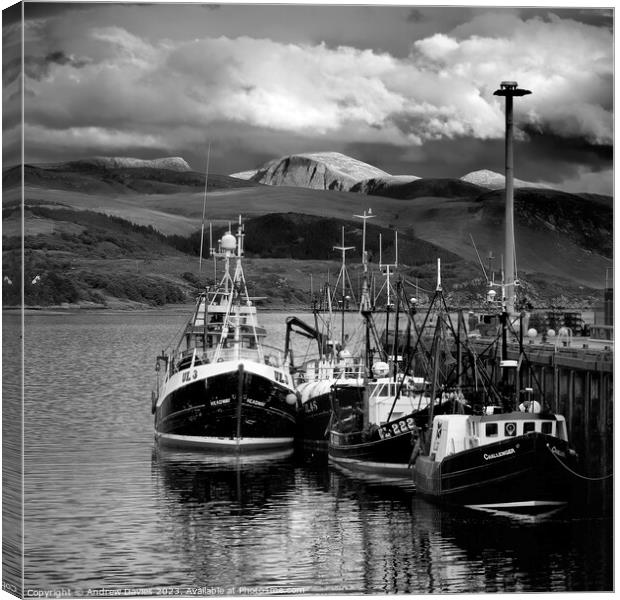 Ullapool Harbour and Loch Broom Canvas Print by Andrew Davies