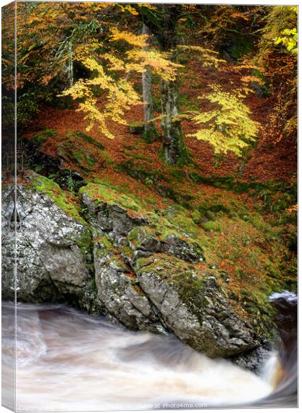 Rocks of Solitude Canvas Print by Andrew Davies