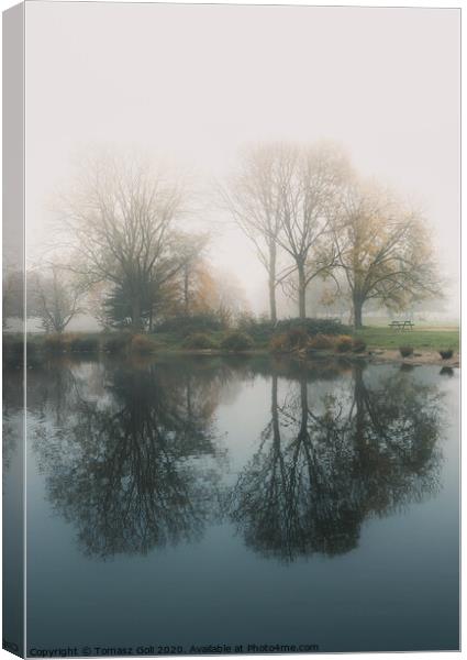 Reflection in the mist Canvas Print by Tomasz Goli