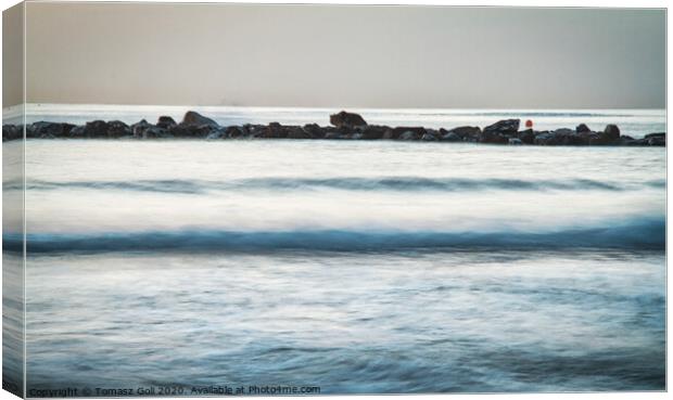 Horizontal waves Canvas Print by Tomasz Goli