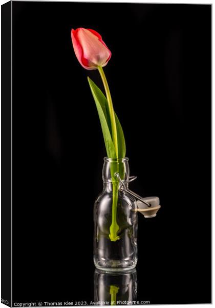 A red tulip in a small glass bottle with a swing stopper Canvas Print by Thomas Klee
