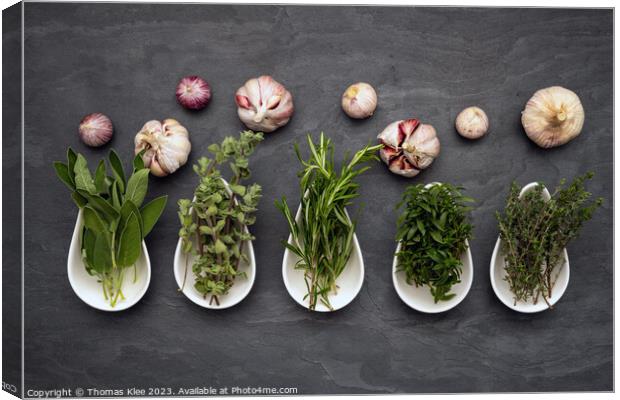 Still life, Fresh herbs in bowls an garlic on slate Canvas Print by Thomas Klee