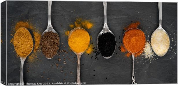 Fine spices on spoons in a row Canvas Print by Thomas Klee