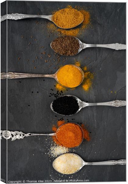 Selection of spices on metal spoons Canvas Print by Thomas Klee
