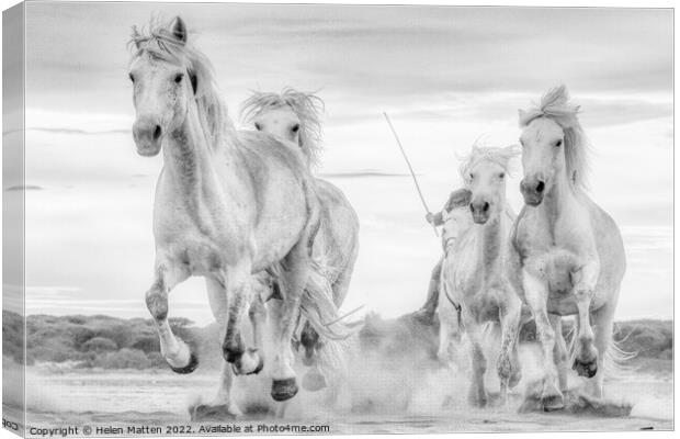 Chase on the Beach 1 Black and White Canvas Print by Helkoryo Photography