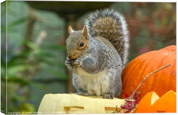 Spooky Squirrel Feast Canvas Print by Helkoryo Photography