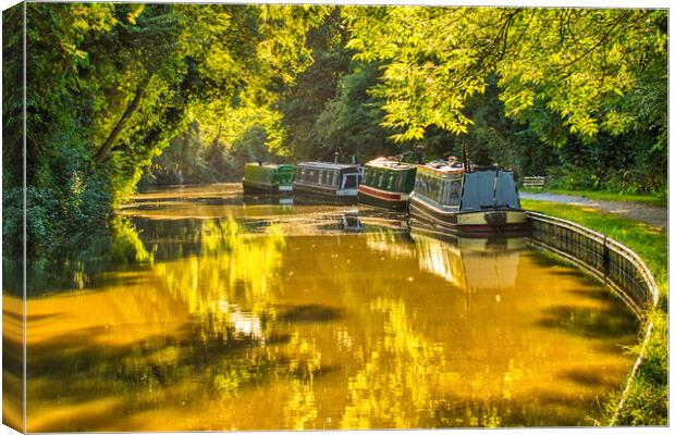 A sultry afternoon on the Canal Canvas Print by Helkoryo Photography