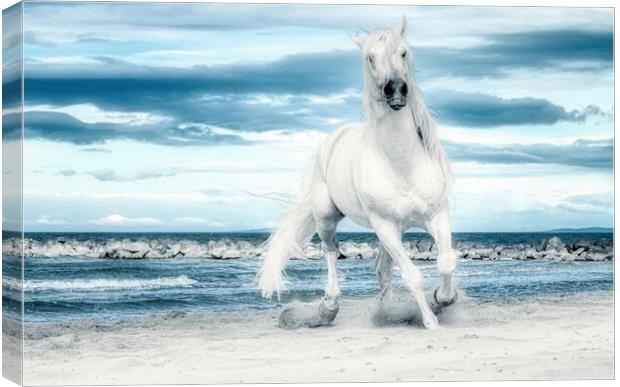 Freedom on the beach Canvas Print by Helkoryo Photography