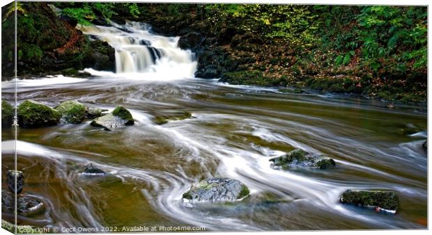 Waterfall Canvas Print by Cecil Owens