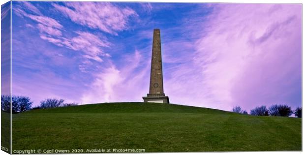 War memorial Canvas Print by Cecil Owens