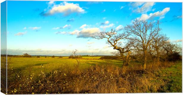 Autumn at Hullbridge, Essex, UK. Canvas Print by Peter Bolton