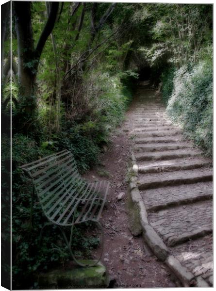 Secluded pathway and bench at Buckfastleigh, Devon, UK. Canvas Print by Peter Bolton