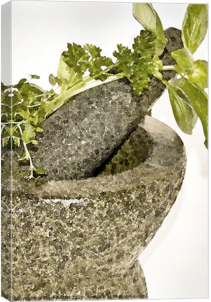 Abstract  wall art of pestle and mortar #1 of a set of three. Canvas Print by Peter Bolton