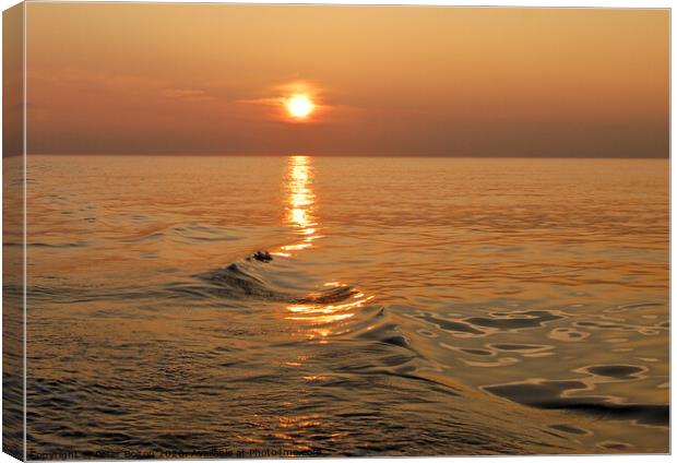 Sun setting over the Mediterranean Sea. Canvas Print by Peter Bolton
