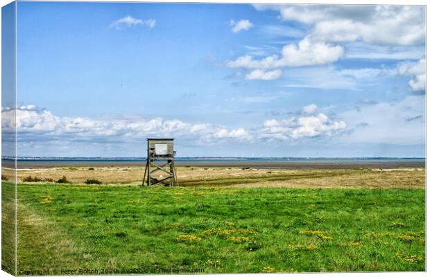 Landscape view of costal nature reserve at Bradwell, Essex on the shore of the River Blackwater Canvas Print by Peter Bolton
