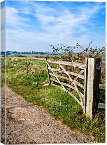 A view through a farm gate at Two Tree Island, with Hadleigh Castle on the horizon. Essex, UK.  Canvas Print by Peter Bolton