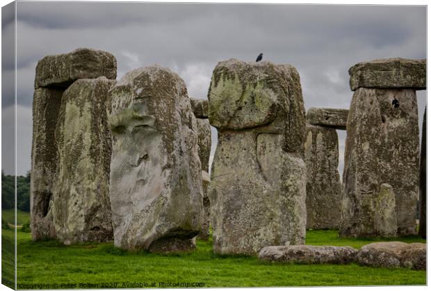 A detail of standing stones at Stonehenge, Wiltshire, UK. Canvas Print by Peter Bolton